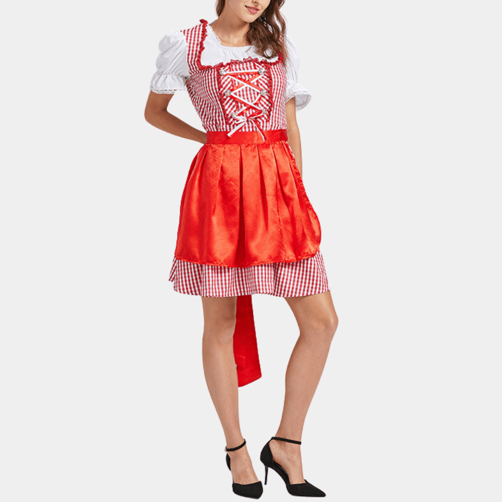 Dirndl Jurk met Geruit Patroon - CB - Dresses - Jurkjes.co