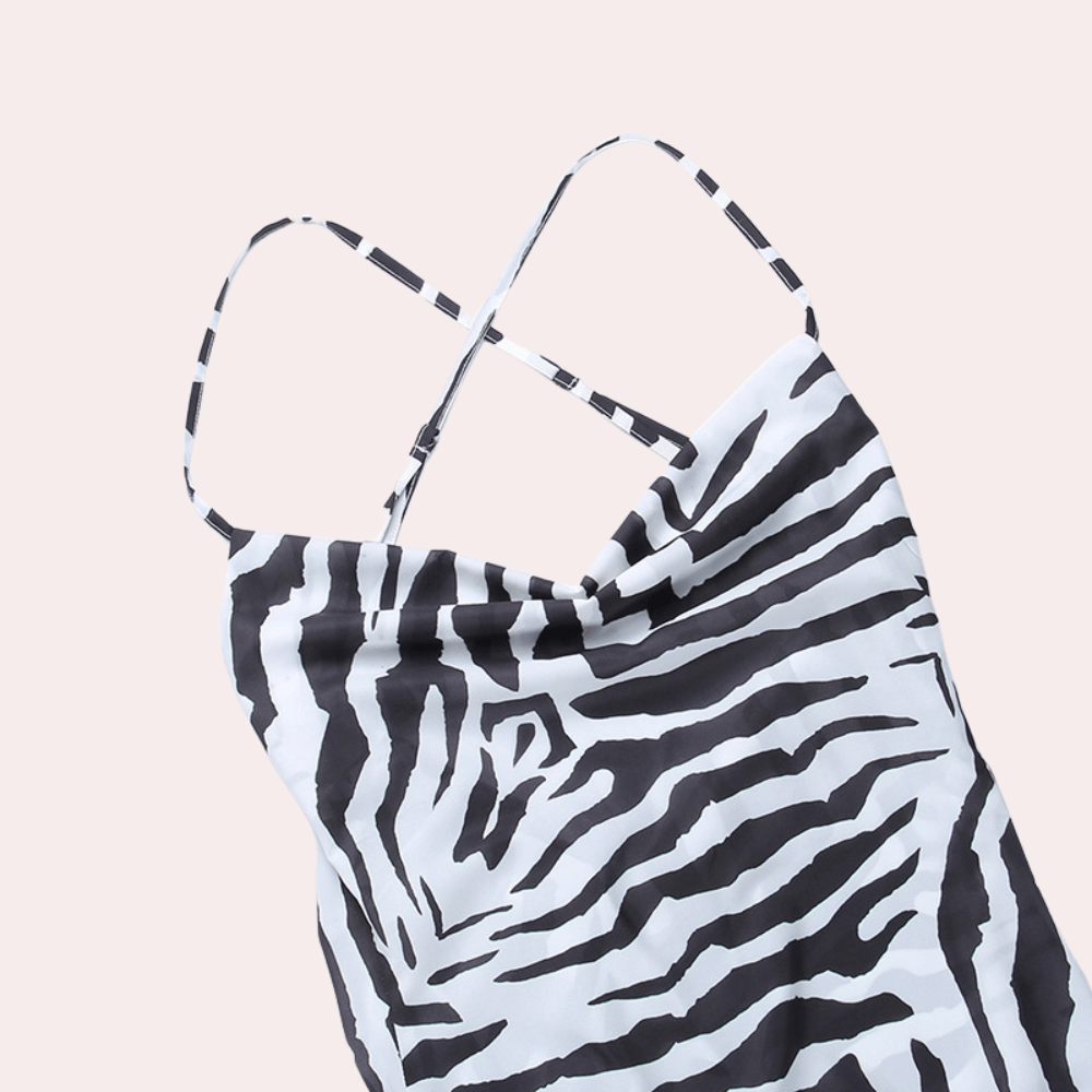 Maxi Jurk met Zebrapatroon - CB - Dresses - Jurkjes.co